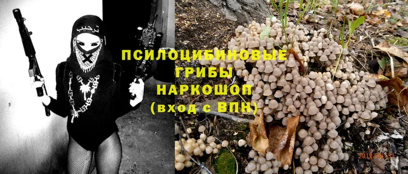 Псилоцибиновые грибы MAGIC MUSHROOMS  kraken рабочий сайт  Абинск 